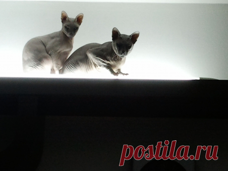 в солярии...