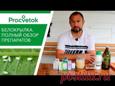 Безопасное средство от вредителей! СКИПИДАР от белокрылки, морковной и луковой мухи, тлей, гусениц.