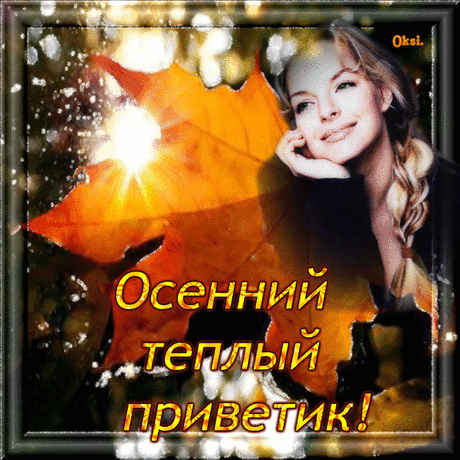 Самые популярные открытки за текущий день