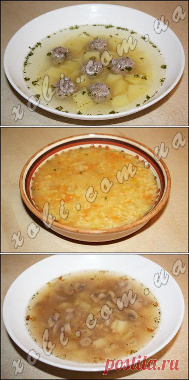 выращиваем киви дома