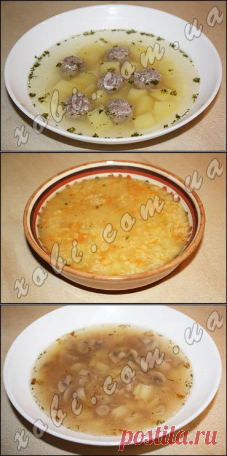 выращиваем киви дома