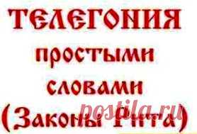 Познавательно о Законе Рита — законе о чистоте духа и крови