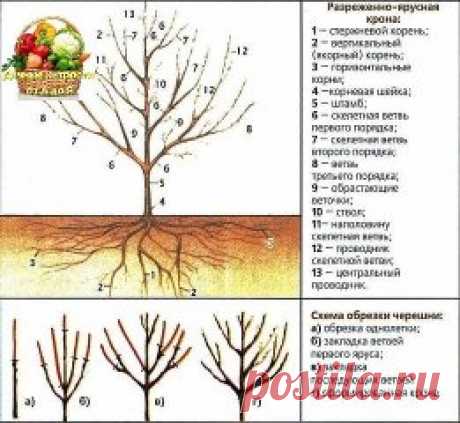 Одноклассники