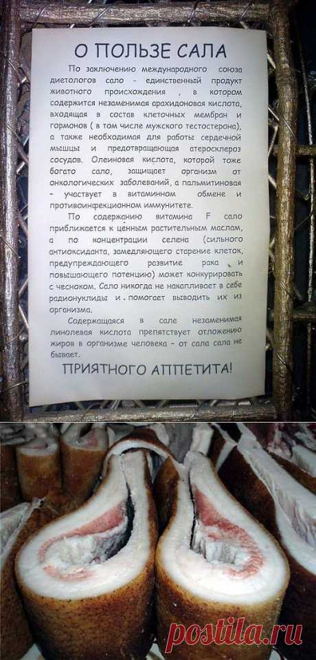 (+1) тема - Полезное сало | Полезные советы