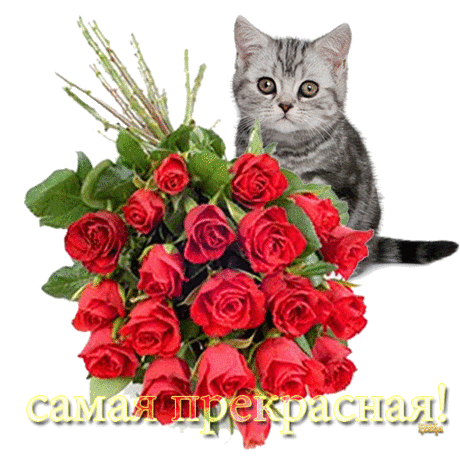 Плейкаст «ДОРОГИЕ ДРУЗЬЯ! ПОЖЕЛАЙКИ ДЛЯ ВАС!!»