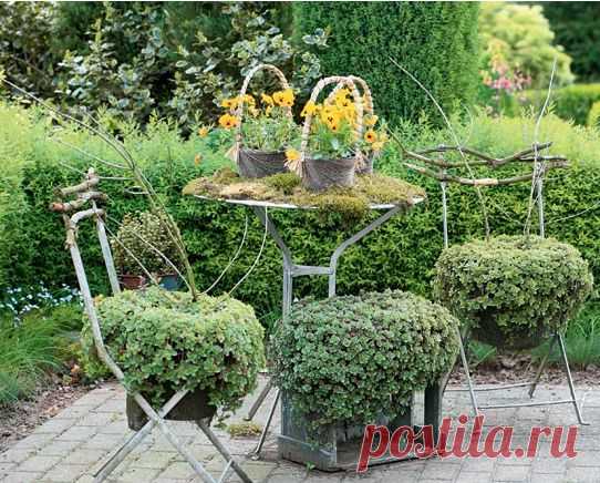 (+1) тема - Дом для цветка - контейнерные посадки в разных зонах участка | 6 соток