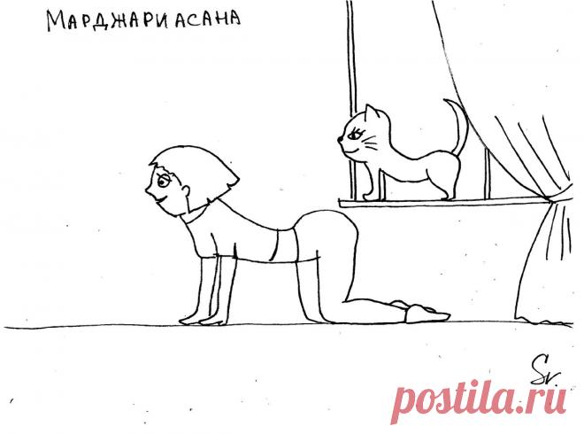 Все про опасный внутренний жир и 10 действий, чтобы его убрать | Podruga.sv | Яндекс Дзен