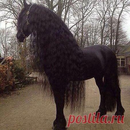 ВСЁ ЛУЧШЕЕ ИЗ YOU TUBE (16 плюс)
উএΒ ςετи λюδимα Αλλαχθм χραηимαইএ