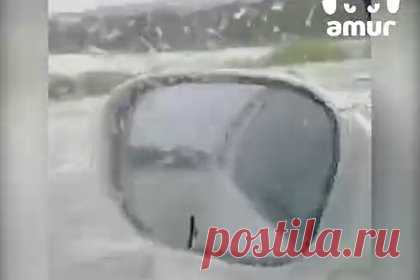 Появилось видео из накрытой волной после землетрясения машины с людьми на Камчатке