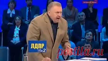 жириновский