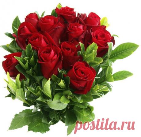 Советы для женщин