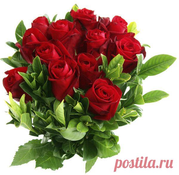 Советы для женщин