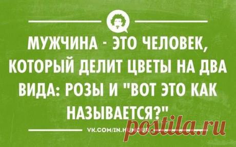 Timeline Photos - Don Serzh Dvorkin