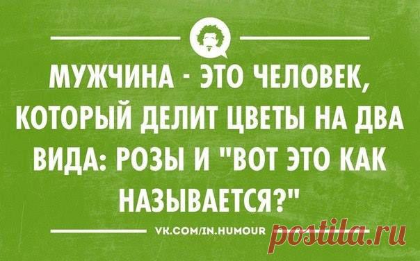 Timeline Photos - Don Serzh Dvorkin