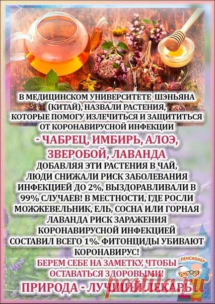 Я - Пенсионер