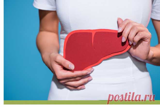 Жировая болезнь печени – причины, симптомы, лечение и профилактика * Клиника Диана в Санкт-Петербурге