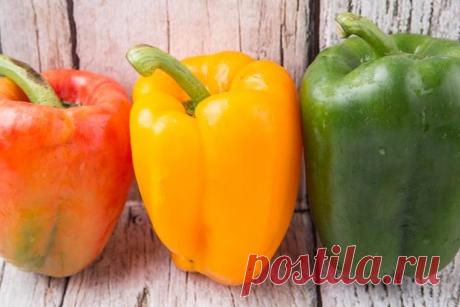 Подкормка перца для роста как ввысь, так и в толщину