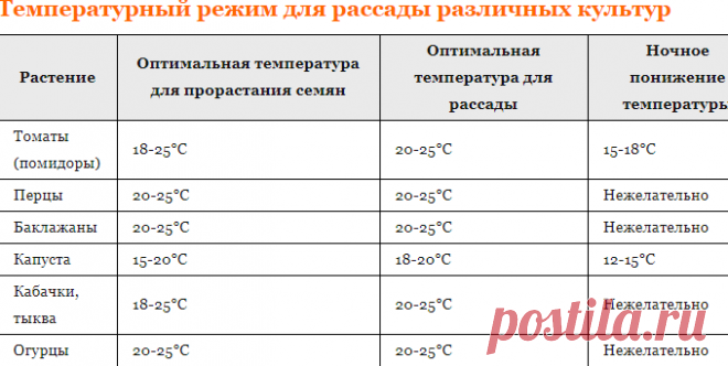 Выращивание рассады: сроки, досвечивание, оптимальная температура - Дачные советы.ру