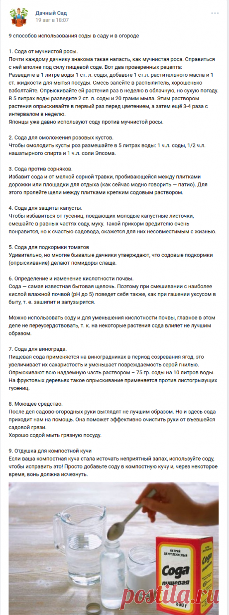 Дачный Сад | ВКонтакте