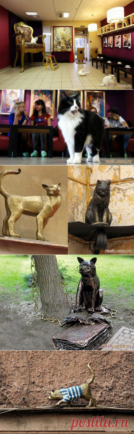 (+2) Кошачий Петербург