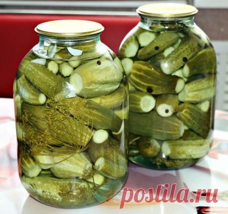 Рецепт маринованных огурцов. Банки никогда не "взрываются" | Вера Бойко | Яндекс Дзен