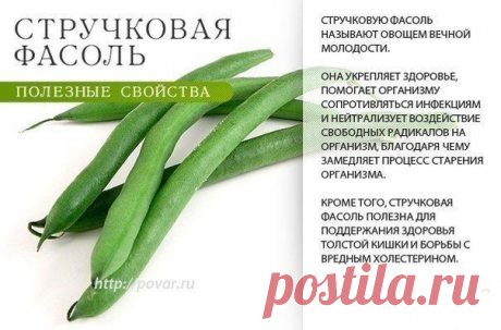 Стручковая фасоль