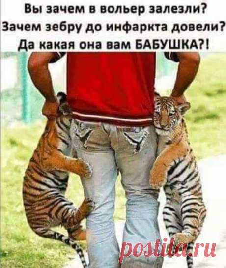Сын с мамой едут в автобусе. Напротив мужчина в военной форме. - Мама, кто этот дядя? - Офицер, как папа. - А почему он не пьяный? - Не знаю, наверное лечится… - Выпуск №1495 — Вокруг смеха - анекдоты