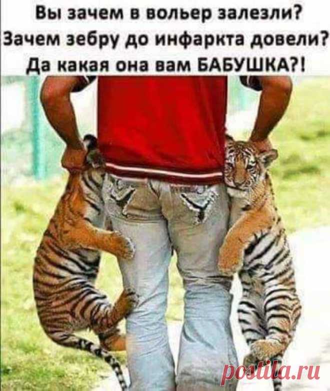 Сын с мамой едут в автобусе. Напротив мужчина в военной форме. - Мама, кто этот дядя? - Офицер, как папа. - А почему он не пьяный? - Не знаю, наверное лечится… - Выпуск №1495 — Вокруг смеха - анекдоты