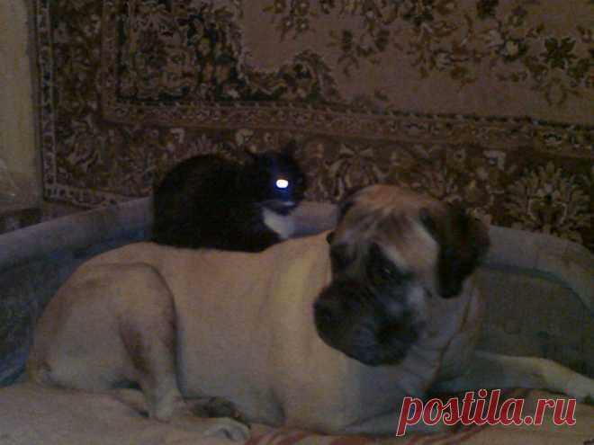 Вообщето так теплее ,да и мягко!