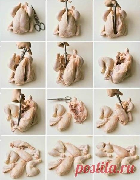 Удoбная шпapгалка по paзделыванию птицы!