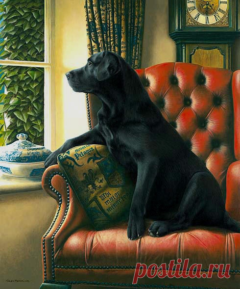 Художник-анималист Nigel Hemming (62 работ) » Страница 2 » Картины, художники, фотографы на Nevsepic