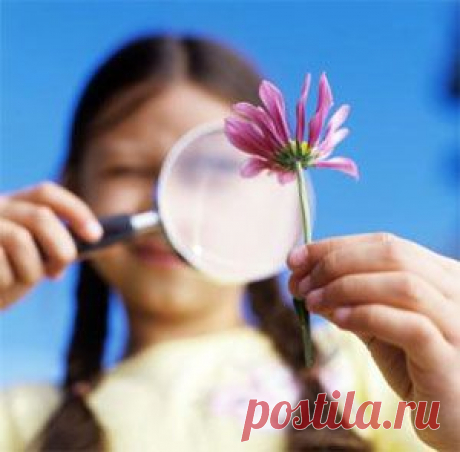 Поллиноз | Доктор Л