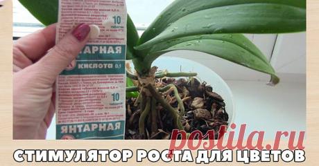 (94) Одноклассники