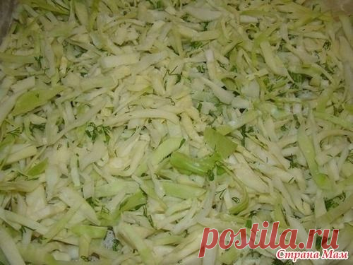Ленивый пирог с капустой, быстрее не бывает - Вкусно и просто!!! - Страна Мам