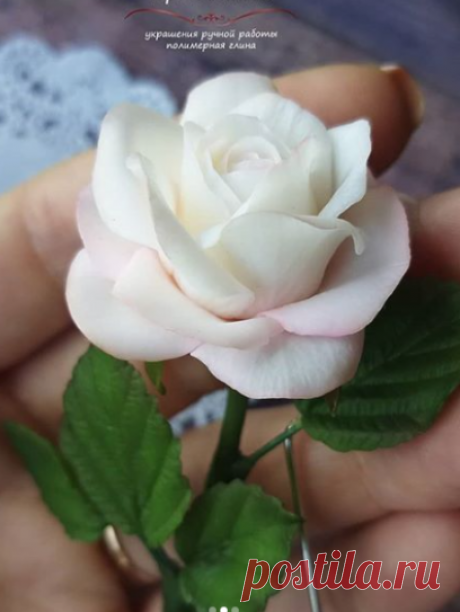 lepka Silueta (@lepka_silueta) • Фото и видео в Instagram