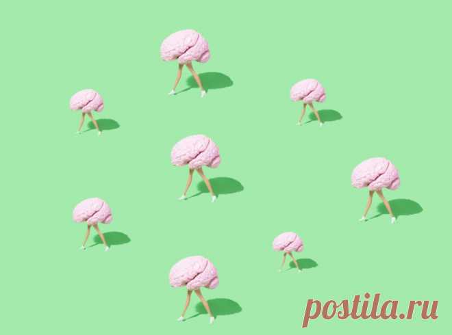Сапиосексуалы: Люди, которые влюблены в интеллект вместо губ, груди и