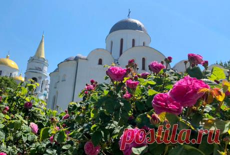 Самое простое, что можно сделать в Чистый Четверг, чтобы было здоровье, удача и не было проблем с деньгами | маг Марианна | Яндекс Дзен