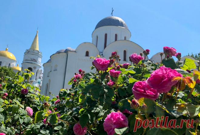 Самое простое, что можно сделать в Чистый Четверг, чтобы было здоровье, удача и не было проблем с деньгами | маг Марианна | Яндекс Дзен