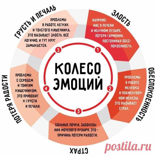ПСИХОМАТИКА