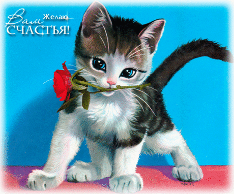Нашей верной дружбы свет!