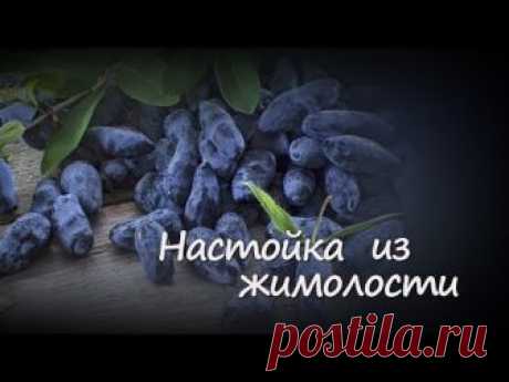 Лучшие рецепты настоек и наливок на самогоне. Как приготовить своими руками? | Про самогон и другие напитки |