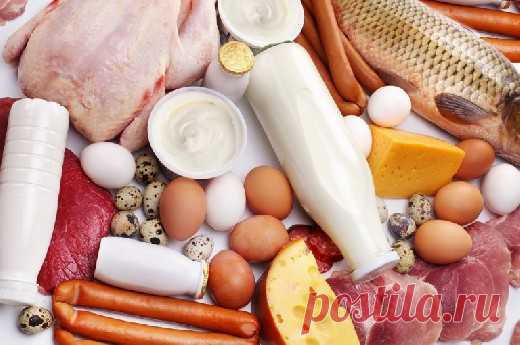 10 продуктов с самым высоким содержанием белка - Медицина 2.0