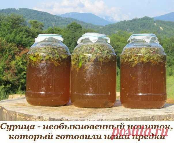 СУРИЦА - НЕОБЫКНОВЕННЫЙ НАПИТОК, КОТОРЫЙ ГОТОВИЛИ НАШИ ПРЕДКИ!

Самая полезная пища, это естественная пища региона, в котором проживает человек.То же самое можно сказать и о напитках.

Травы садовые, дикие, цветы пахучие - все сгодится для приготовления Сурицы, древнего напитка наших прадедов.

Самое, конечно, удивительное - это вкус. А вкусов может быть сколько угодно. Есть, где разгуляться творческой фантазии хозяек.
Если вы положите листья дикой клубники, мяты - у вас п...