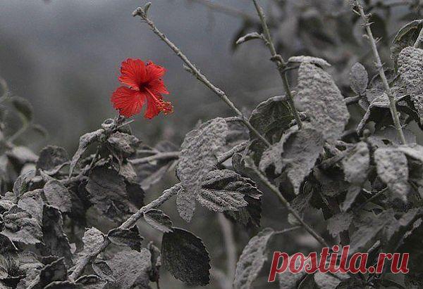 (9) Одноклассники