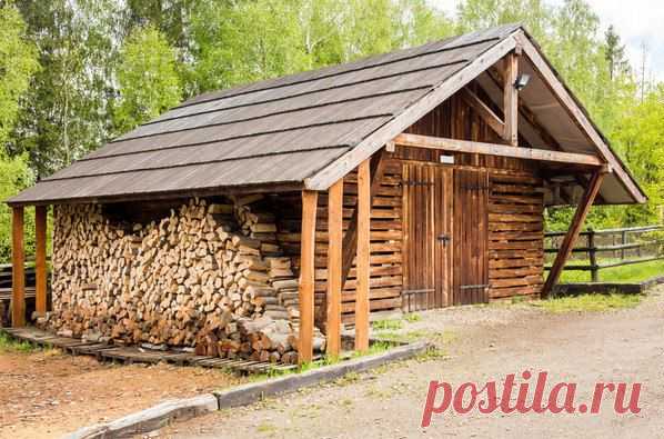 Моя любимая дача|Сад, огород, цветы | ВКонтакте