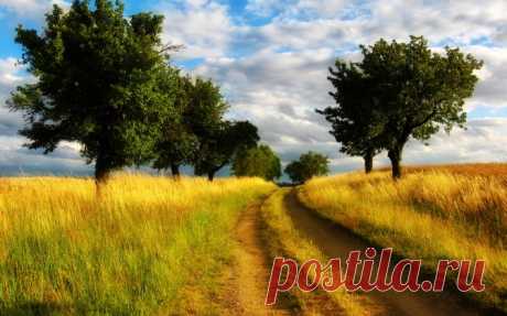 Дорога поле Скачать картинку 2560x1600 Дорога поле