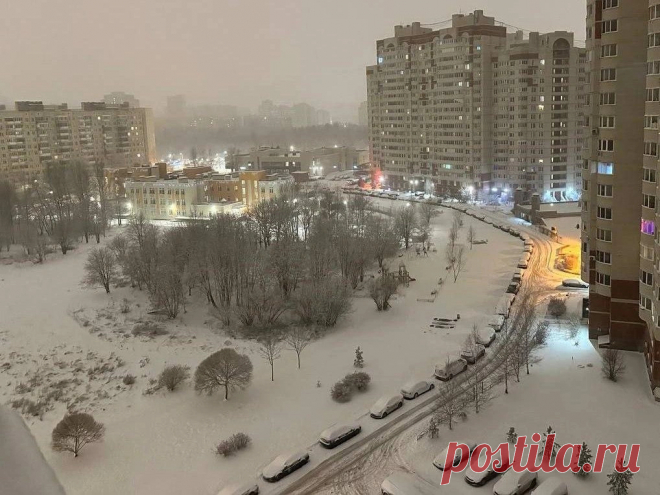 Какая погода в Петербурге: в городе выпало рекордное количество снега за эту зиму - 15 декабря 2024 - ФОНТАНКА.ру