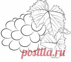 рисуем виноград - Поиск в Google