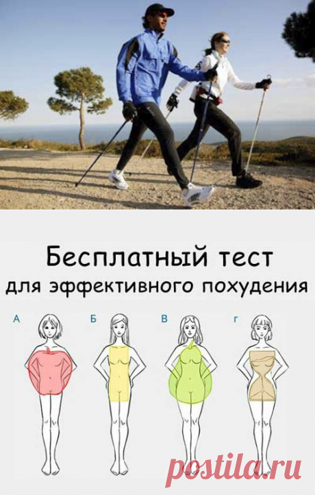 Скандинавская ходьба с палками.
