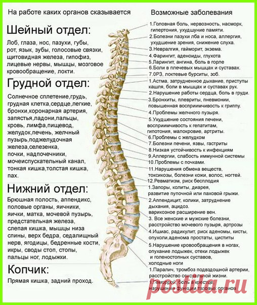 Психосоматика смещения позвонков 

Перед Вами таблица значений и последствий смещения позвонков из книг «Как исцелить свою жизнь» и «Исцели себя сам» Луизы Хей. 

Таблица позволяет увидеть, как психологические патологии влияют на развитие физических болезней, а таблица заболеваний позвоночника показывает связь каждого позвонка с конкретным недугом. Это дает возможность узнать почему одни и те же болезни постоянно возвращаются к нам.
Показать полностью…